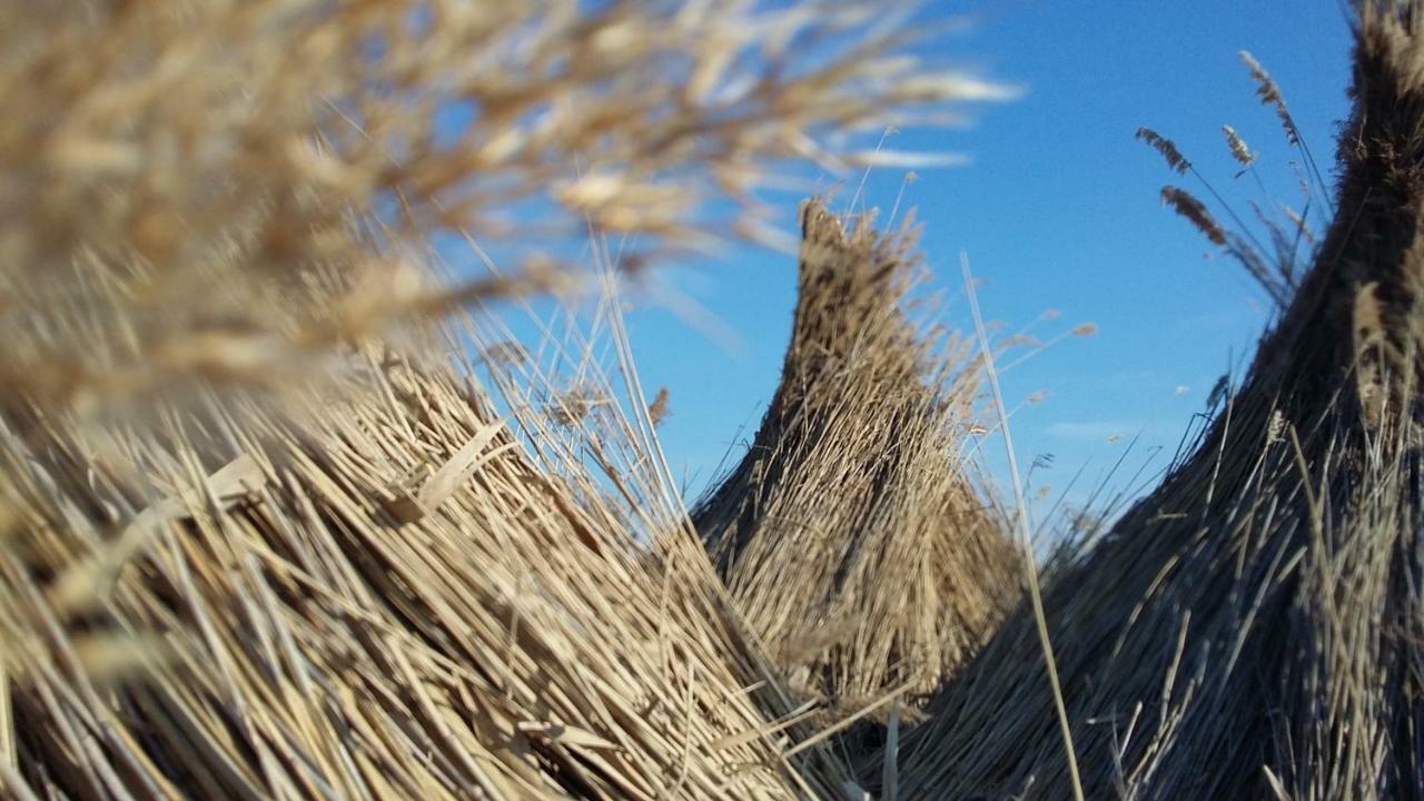 Laubgassl Daire Mörbisch am See Dış mekan fotoğraf